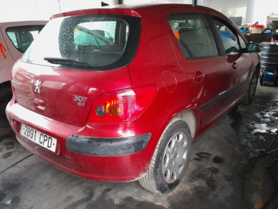 PEUGEOT 307 (S1)(04.2001)