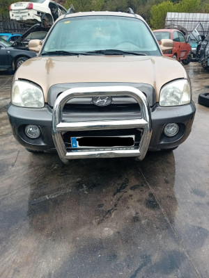 HYUNDAI SANTA FE (SM)