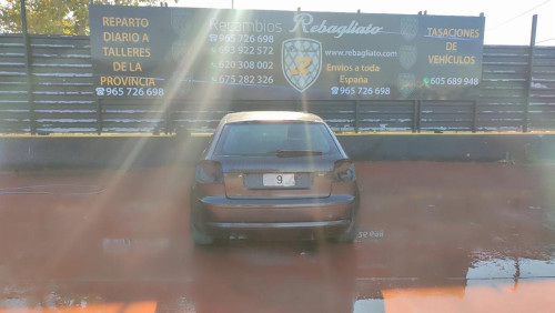  AUDI A3 (8P1) 