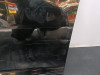 PUERTA DELANTERA IZQUIERDA Jaguar XF 