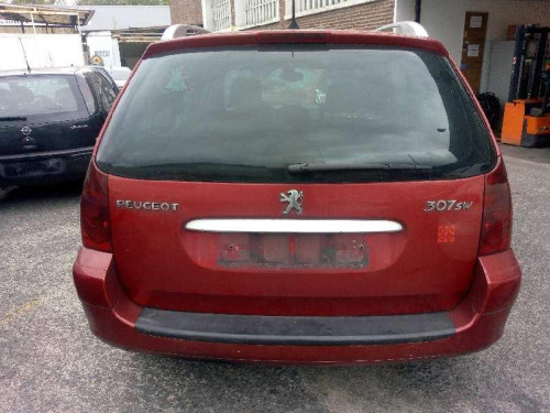  PEUGEOT 307 BREAK/ SW (S2) 