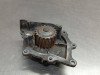  BOMBA AGUA LAND ROVER FREELANDER (LR2) 
