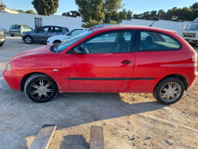 SEAT IBIZA (6L1)