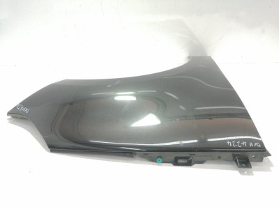 ALETA DELANTERA DERECHA, RENAULT, SCENIC III (JZ)