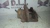 PINZA DE FRENO DELANTERA DERECHA Citroen BERLINGO 