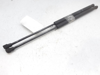 AMORTIGUADORES MALETERO / PORTON, SEAT, TOLEDO (1L)