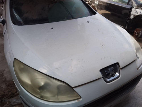 CAPO Peugeot 407 