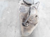 DEPOSITO COMBUSTIBLE AUDI A6 BERLINA (4F2) 