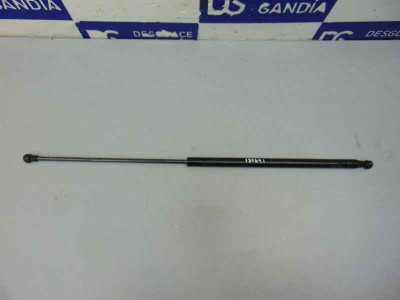 AMORTIGUADORES MALETERO / PORTON, NISSAN, JUKE (F15E)