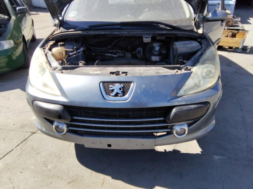  PEUGEOT 307 BERLINA (S2) 