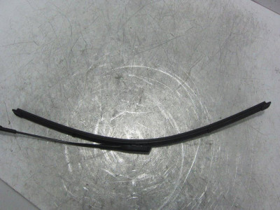 ESCOBILLA LIMPIA