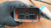 CABLEADO ELECTRICO Jaguar XJ8 