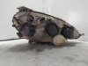 FARO IZQUIERDO MERCEDES-BENZ CLASE A (BM 168) 