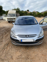 PEUGEOT 307 (S1)(04.2001)