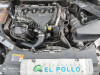  FORD FOCUS BERLINA (CAP) 