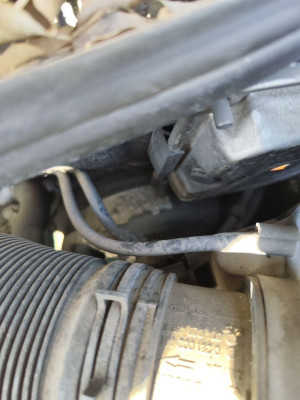 SERVOFRENO, SEAT, CORDOBA BERLINA (6L2)