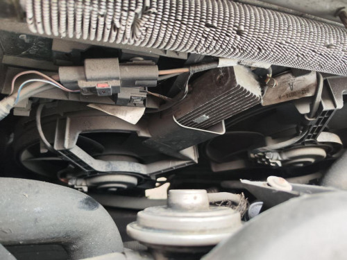 RADIADOR AGUA, LAND ROVER, FREELANDER (LN)