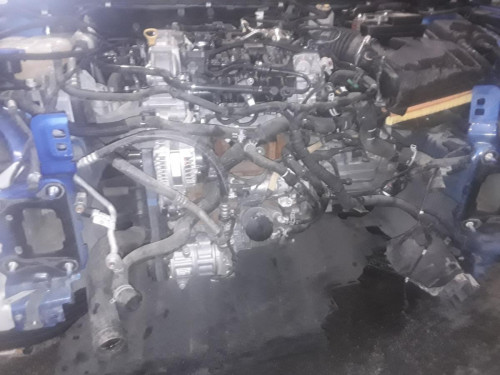  FORD FOCUS BERLINA (CGE) 