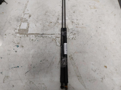 AMORTIGUADORES MALETERO / PORTON, CITROEN, XSARA FAMILIAR