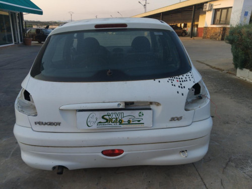  Peugeot 206 (1998->) SIN IDENTIFICAR 