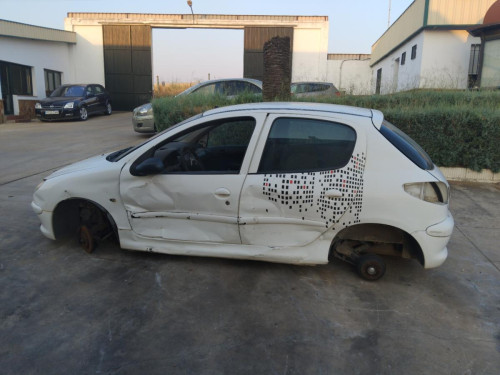  Peugeot 206 (1998->) SIN IDENTIFICAR 