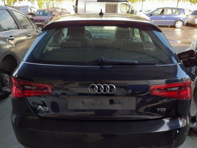 PORTON TRASERO, AUDI, A3 (8V1)