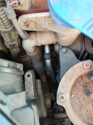 VALVULA AIRE ADICIONAL, VOLKSWAGEN, GOLF PLUS V (5M1)