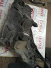  FARO DERECHO OPEL ASTRA H BERLINA 