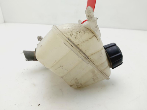 DEPOSITO EXPANSION RENAULT KANGOO II (F/KW0) 