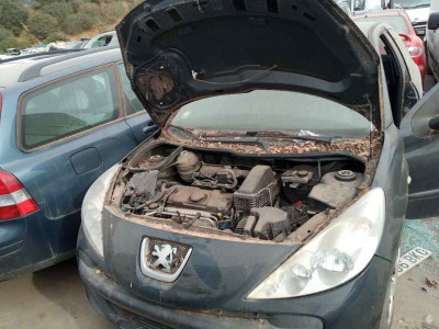 PEUGEOT 206 +