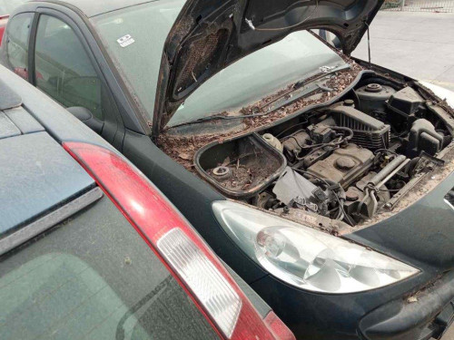  PEUGEOT 206 + 