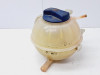  DEPOSITO EXPANSION Seat IBIZA (6L1) 