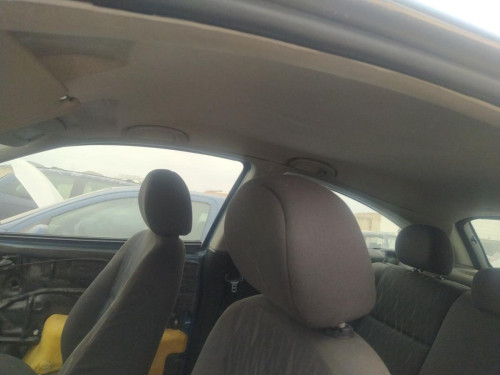 TECHO INTERIOR FORD FOCUS BERLINA (CAK) 