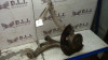 MANGUETA DELANTERA DERECHA Audi Q7 (4L) 