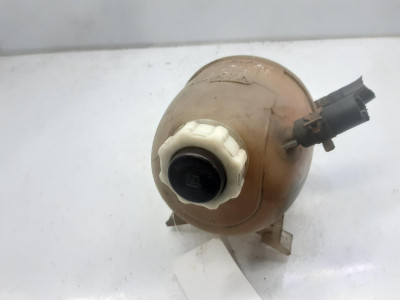 DEPOSITO EXPANSION, RENAULT, MEGANE I FASE 2 BERLINA (BA0)