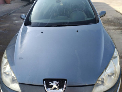 CAPO Peugeot 407 (2004->)