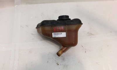 DEPOSITO EXPANSION, FORD, MUSTANG (CZG)