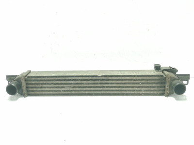 INTERCOOLER, PEUGEOT, BIPPER