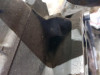  MOTOR COMPLETO MERCEDES-BENZ CLK (BM 208) CABRIO 