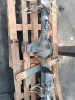  DIFERENCIAL TRASERO IVECO DAILY FURGÓN 