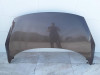 CAPO RENAULT SCENIC III (JZ) 