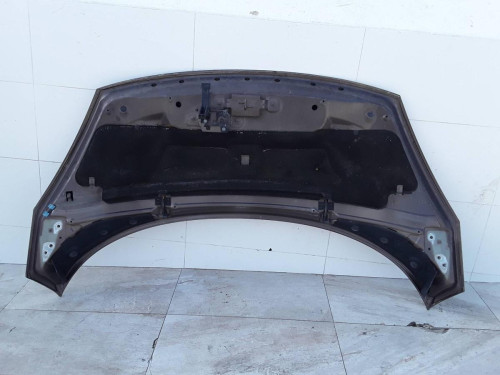 CAPO RENAULT SCENIC III (JZ) 