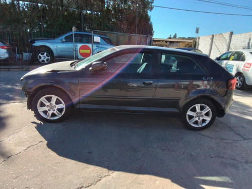  AUDI A3 (8P1) 