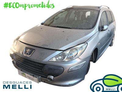 PEUGEOT 307 BREAK/ SW (S2)
