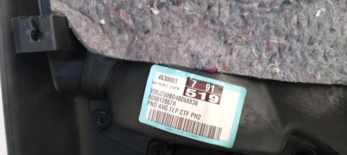  GUARNECIDO PUERTA DELANTERA IZQUIERDA RENAULT SCENIC III (JZ) 
