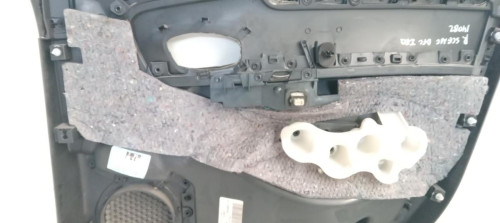  GUARNECIDO PUERTA DELANTERA IZQUIERDA RENAULT SCENIC III (JZ) 