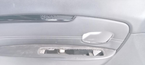  GUARNECIDO PUERTA DELANTERA IZQUIERDA RENAULT SCENIC III (JZ) 