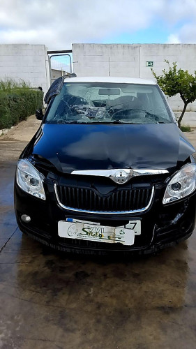  Skoda Fabia (5J2)(2007->) SIN IDENTIFICAR 