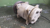 COMPRESOR AIRE ACONDICIONADO NISSAN PATROL (K/W 160) 