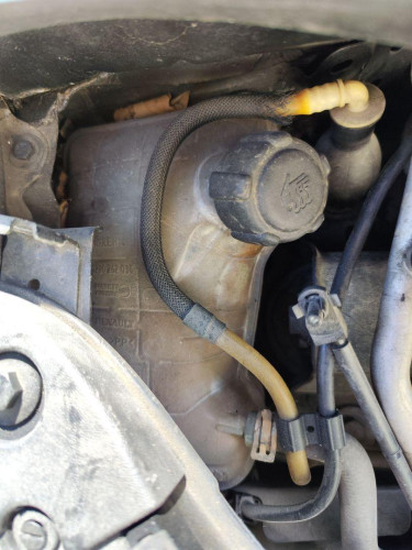DEPOSITO EXPANSION Renault SCENIC II (JM) 